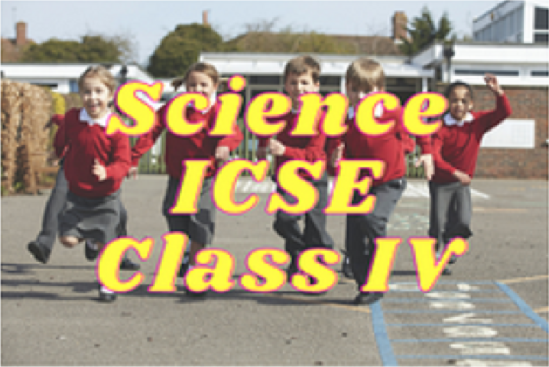 Science (ICSE) - Class IV